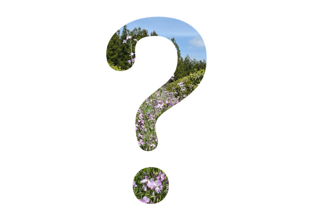 Regenerative Landwirtschaft