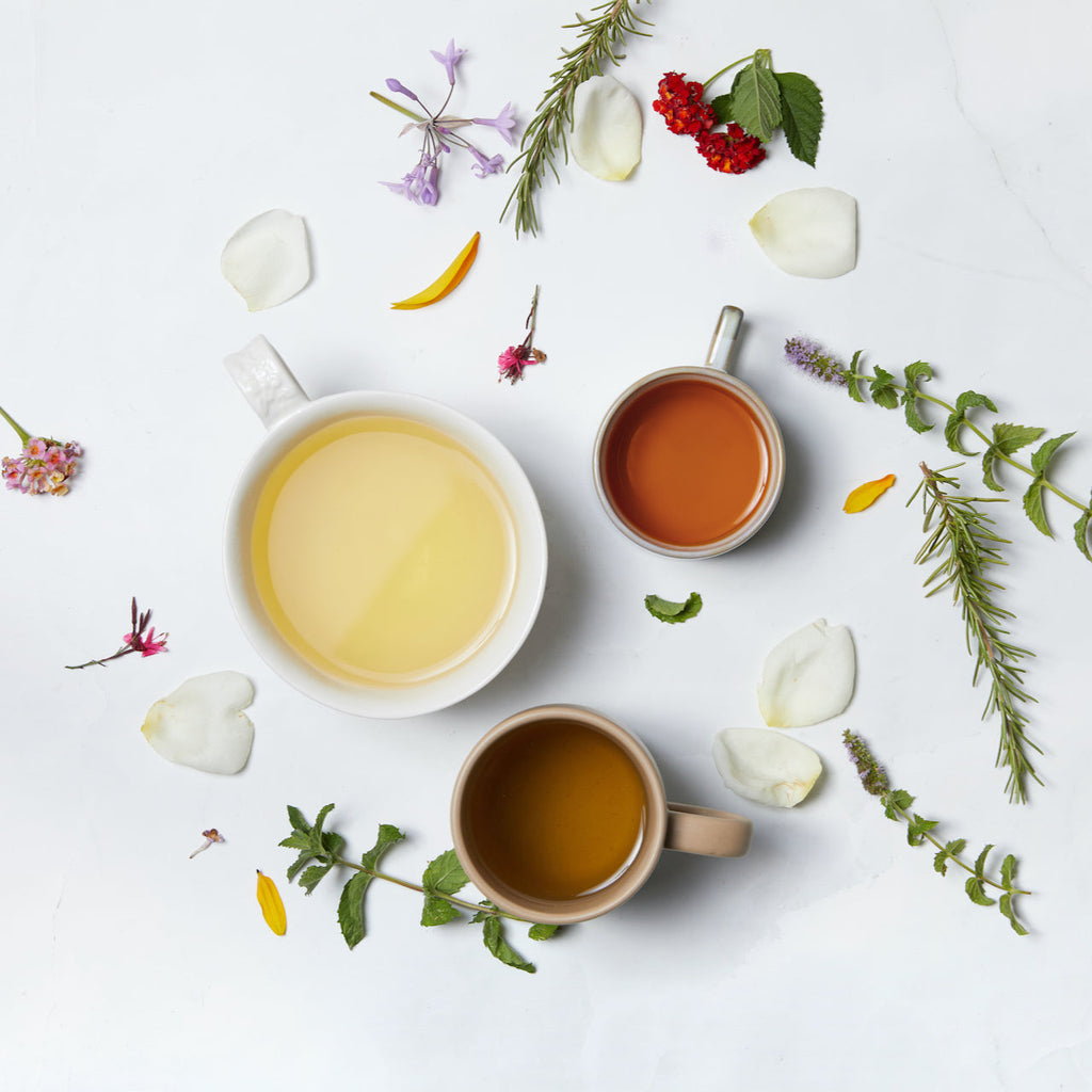 Grüner Tee jeden Tag – Es ist einfacher, als Sie denken!